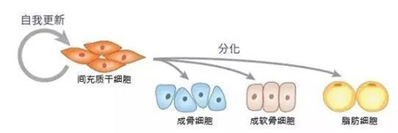 微信图片_20181029102346-1.jpg