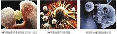 微信图片_20180927094515-1.jpg
